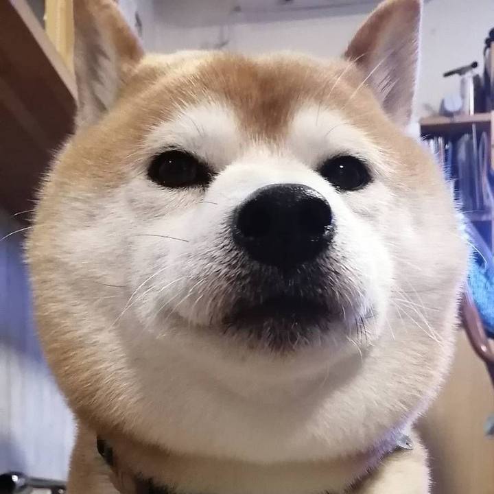 6564e170 d6a5 42ce 8a07 1959c5c0e487 1588064500740