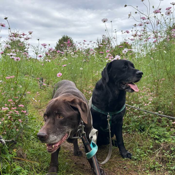 6564f072 22f3 4f37 9321 3fe3710dc5d4 1760964203354