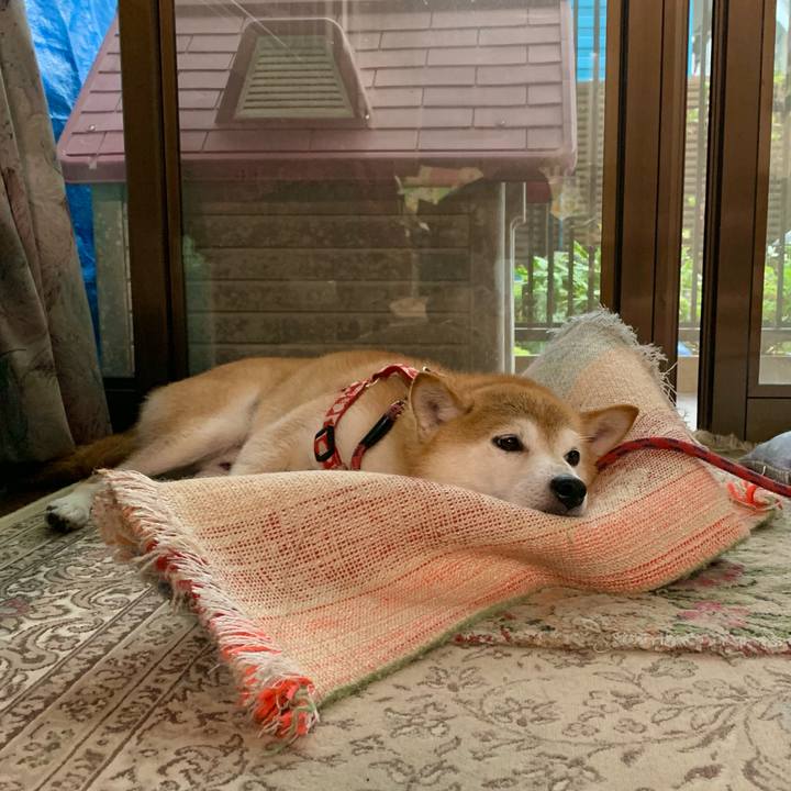 6564f2b5 645e 471e 90e2 1dd53da52caf 1630664651502