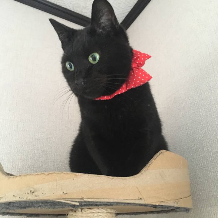 65650f4e 345f 4ef2 bfd7 ed1bff1bd440 1537747452978