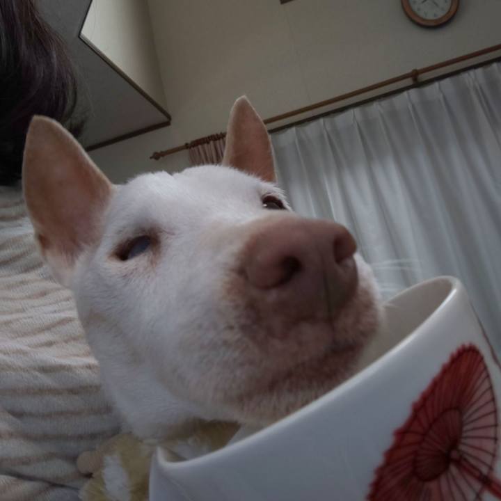 656524ec e0f7 45ab a23b c65ff246fc1e 1585007137566