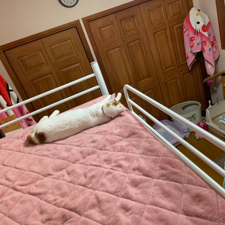 656566e0 d640 488c 9364 ed0e985af553 1592845378893