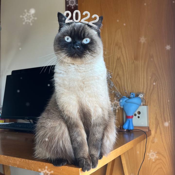 65656ffb 8d00 4f48 ac61 e153dc29c987 1643499915306