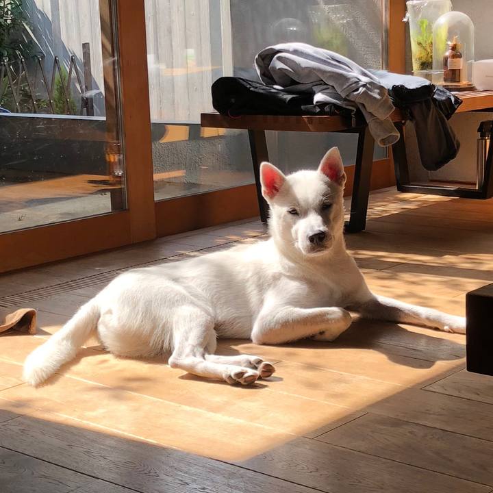 65657246 0c1c 42cf a5df 4176bbbbc26f 1539340125919