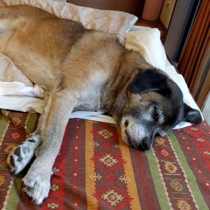 65659ea2 7c01 4d55 86d0 674e9977deaf 1508127820941