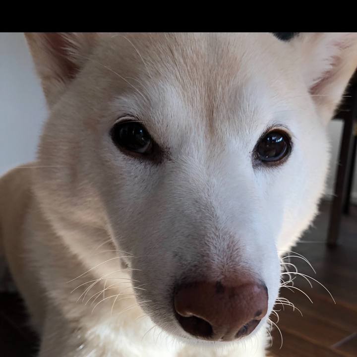 6565a25a f208 4b17 9acf b88809af7741 1622447006610