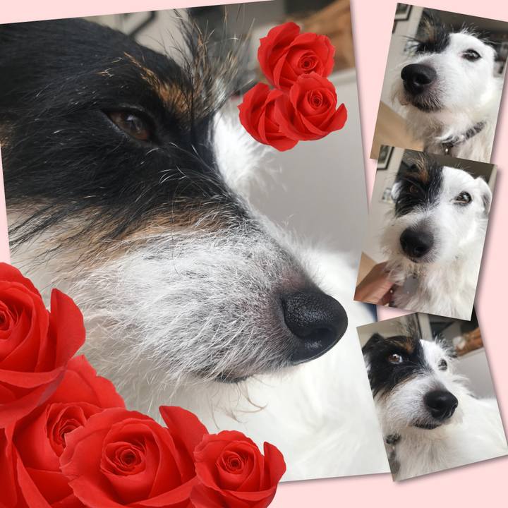 6565bb43 443c 4142 9aee 41cbde28b550 1529644610105