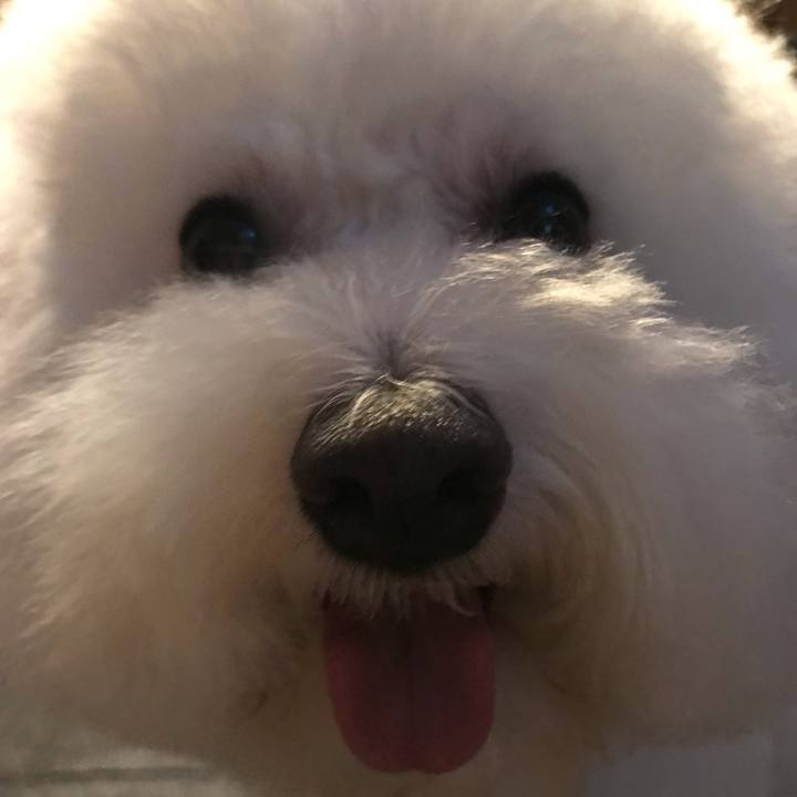 6565dac8 25a9 49fb b195 1981e929edee 1568363801636