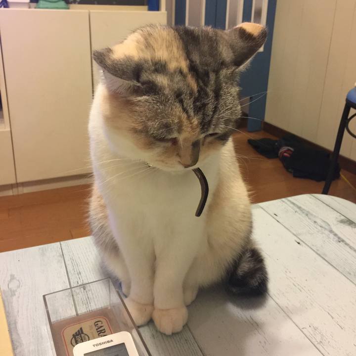 6565e862 29b0 4841 87ee db0fb9e49656 1548613634570