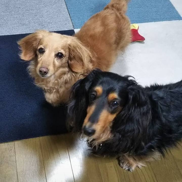 65662263 0e39 404d 9a46 f41049cbf7a9 1606772427312