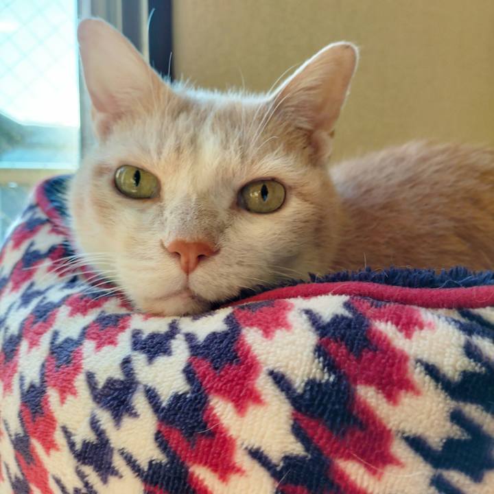 65663e7e 4ac2 42cb b3a0 6344d7276aa4 1668639729297