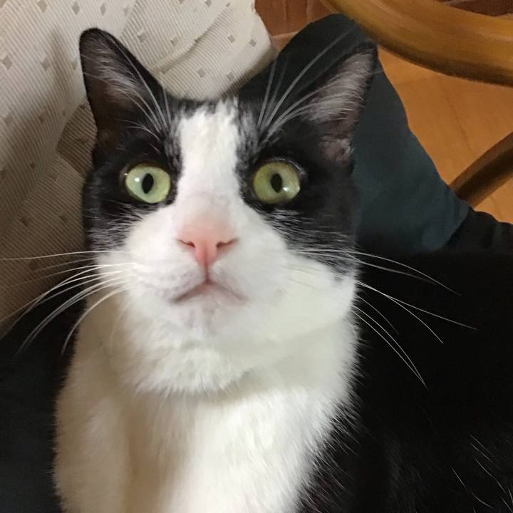 656650cb 5e39 44ec 8cbb b3a73cf6b4dc 1720603008378