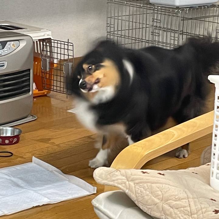 65665666 d12f 4a28 92a1 17f647d6cfaf 1621375253617