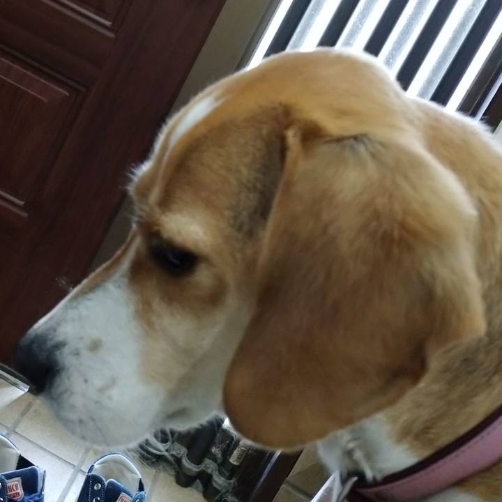 656656b0 d91d 4308 a022 225184dc906c 1587633729424