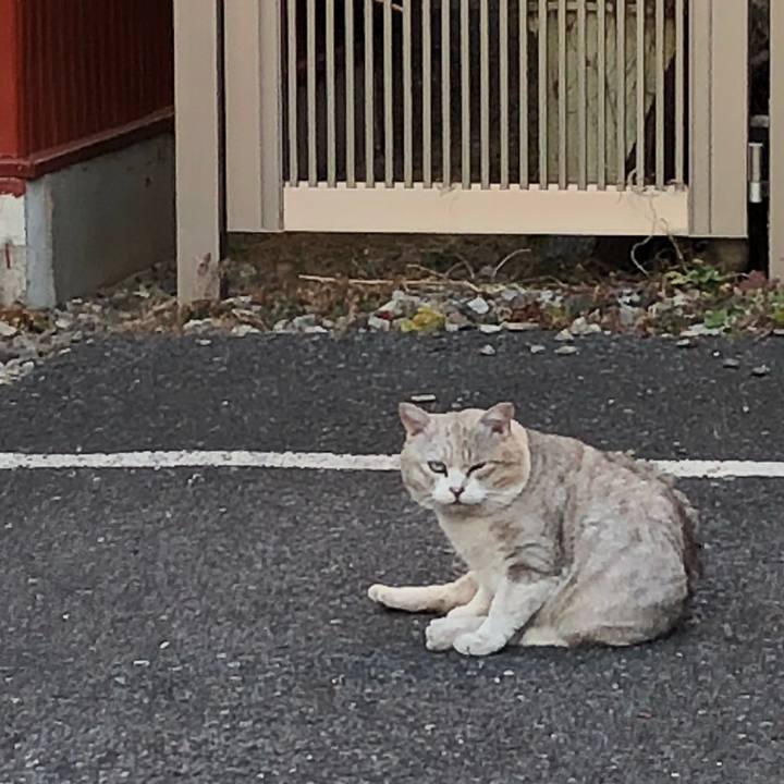 656657a8 1a0f 4620 ae2e c154865ab02b 1516092174220