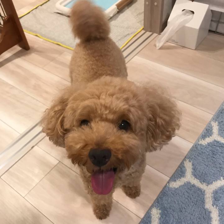 656670f8 42ff 4447 a657 f656c13ceeb1 1566381717615