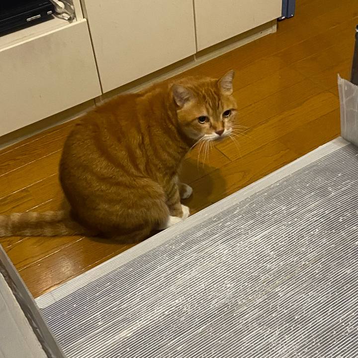 65668ffe 7a43 49b8 aed7 5161c22c367d 1667943991679