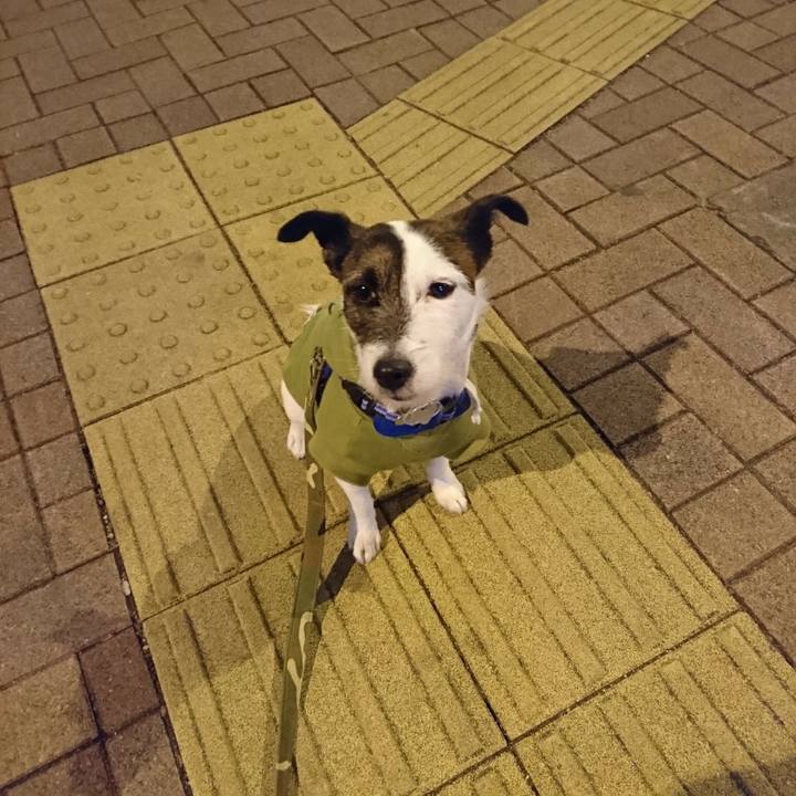 6566b389 ef36 4f2e 9c06 b35e78cfc60d 1519646027748