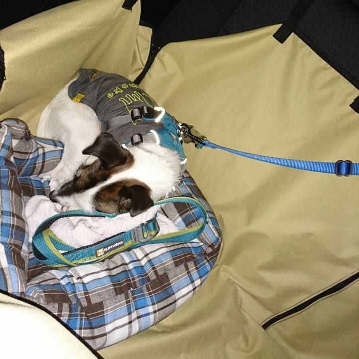 6566e76b 6c7f 42d9 a94d d073965c60c1 1513503788071