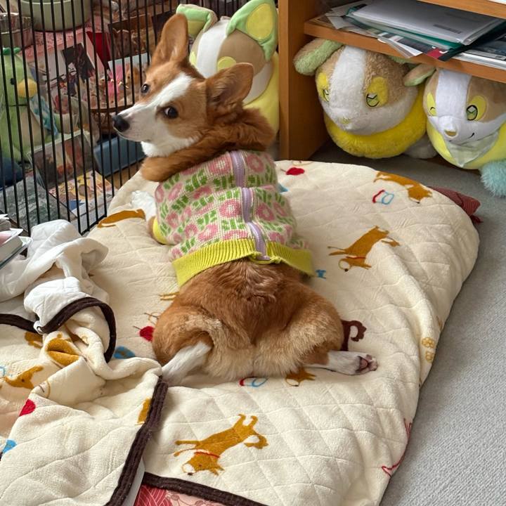 6566f2a2 a4a1 4a1c a1b8 438f21e63ec2 1770012179411