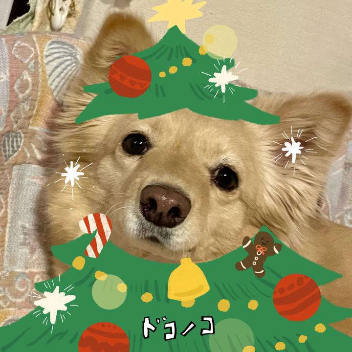 656703e9 efcd 4a5d a98b eea8ff8154e0 1761106691359