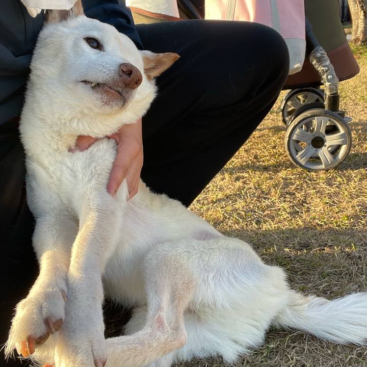 65670a57 4ba6 4927 bbbc 2bee18f0b396 1669380697534