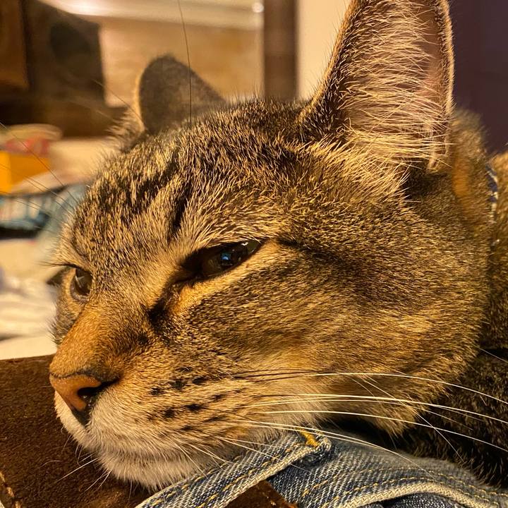 65674a79 01e8 41bc b6d1 6d784a503430 1596290311174