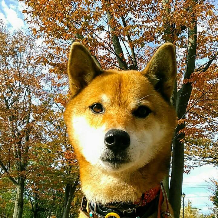 656794d6 7ee7 4969 ad2a cd9978665189 1573691840924