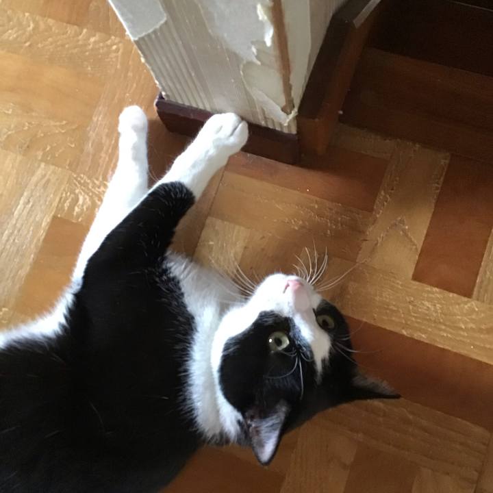 6567a3ef 14fa 44d9 9799 505a9bade95c 1693480447446