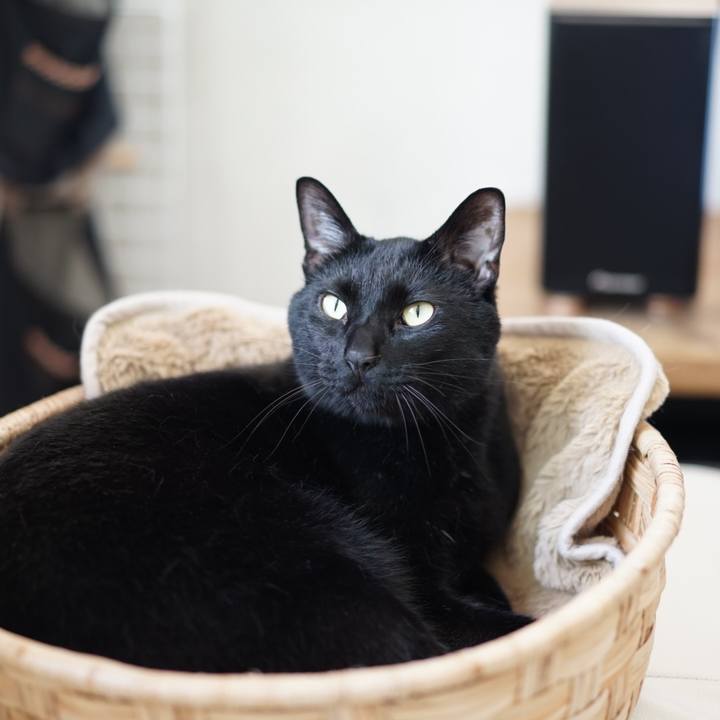 6567aedc fede 4d86 960e 79bcf20025d3 1557964728027