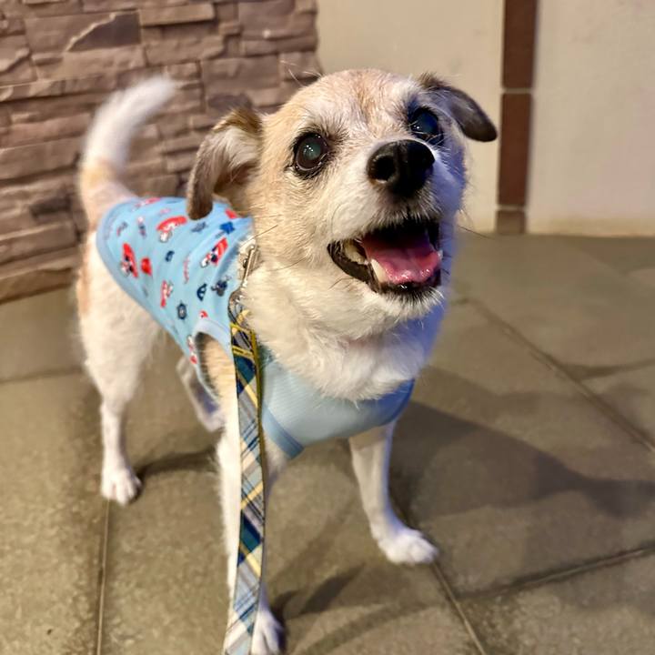 6567bc2c 22d4 4034 81f1 a41a785d268f 1722250805660