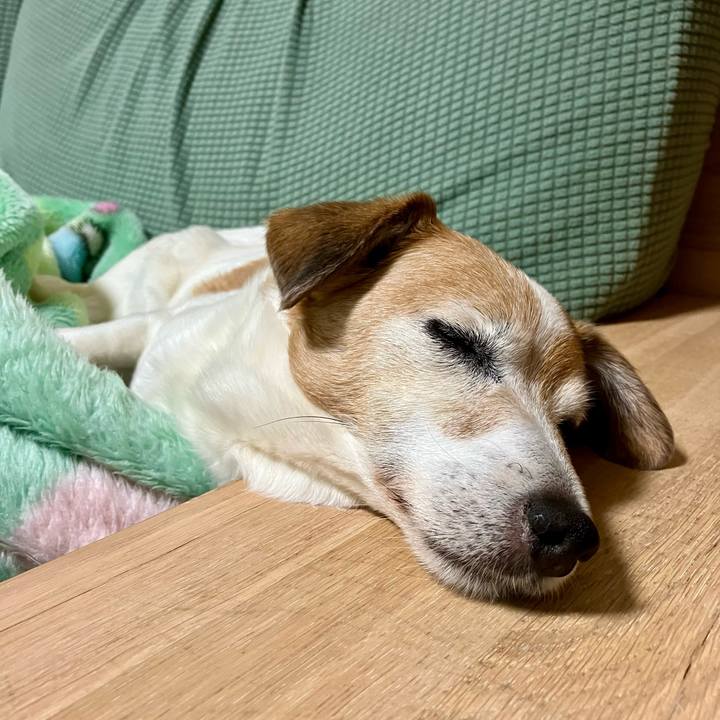 6567c01f c8c2 419e a884 167a531e2b61 1715001780468