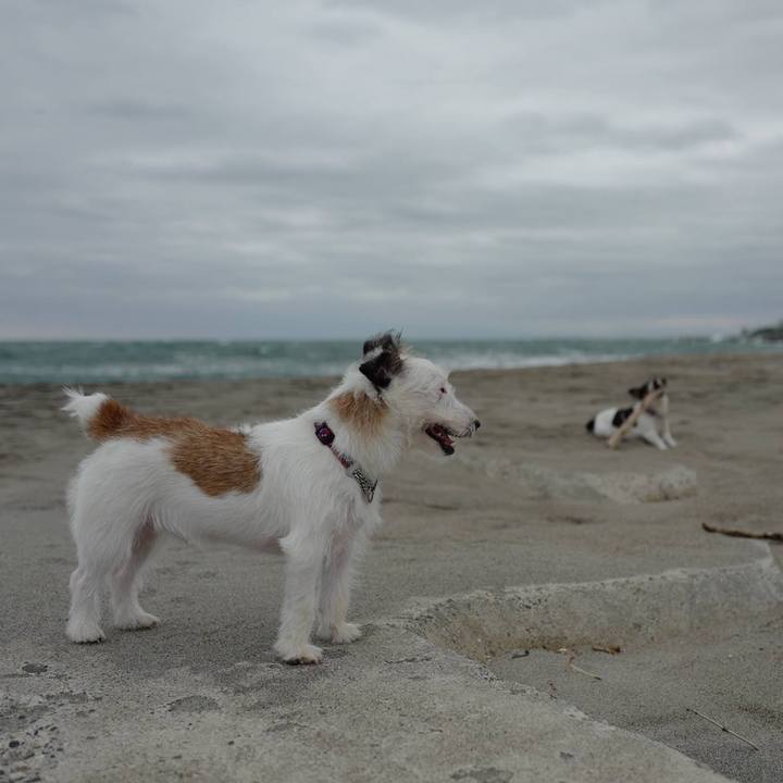 65680333 e133 42b7 afc5 eb823f60d5da 1508041817338