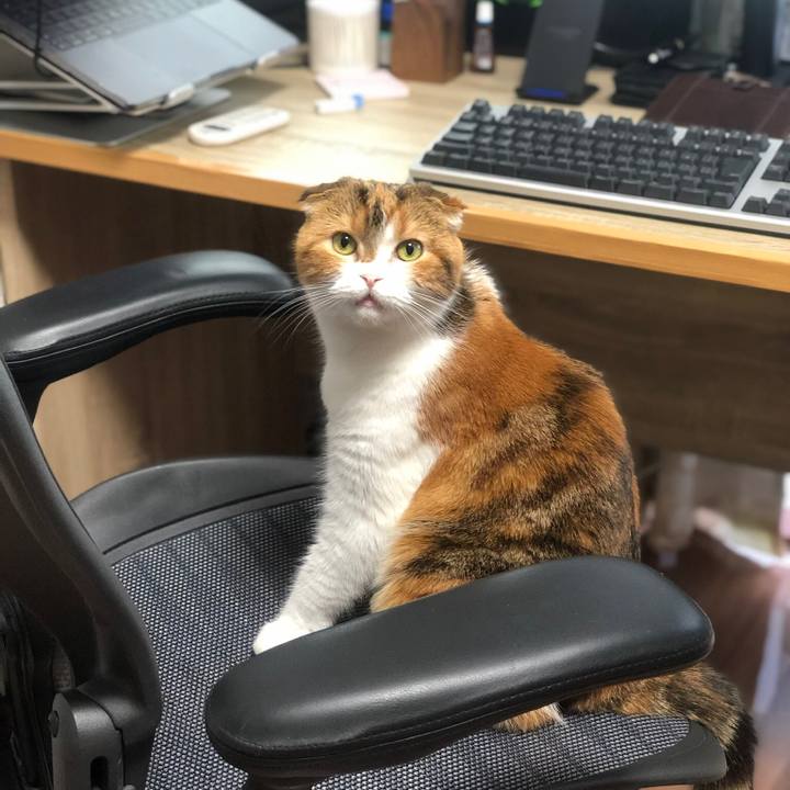 65685169 bbfa 4a38 b921 b7296b3f1f4c 1570356000794