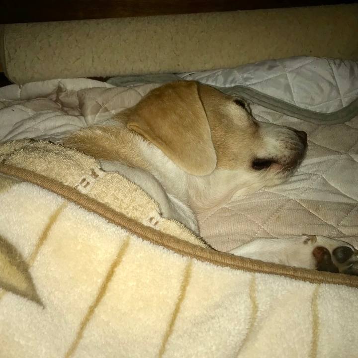 6568601b 0590 4526 b2eb a3675d1751fd 1538580388502