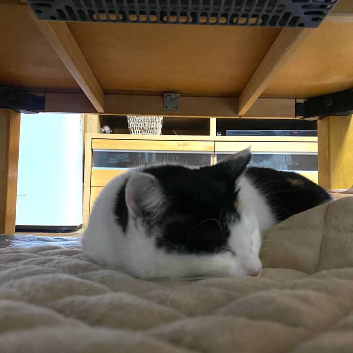 65686292 7fa0 462d 98d9 b09f71471296 1645885162865