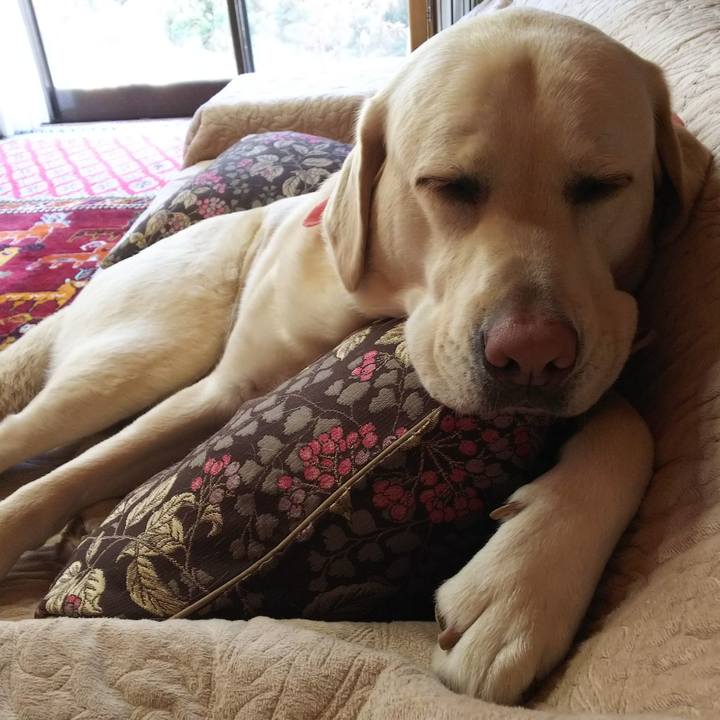 65688aa8 d7e4 4e11 87b8 e24dace468db 1552113591906