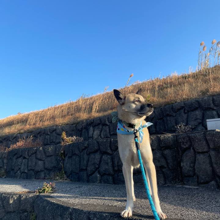 6568b0a1 8ca9 43aa a92e 4adeeead3ad4 1704542230146