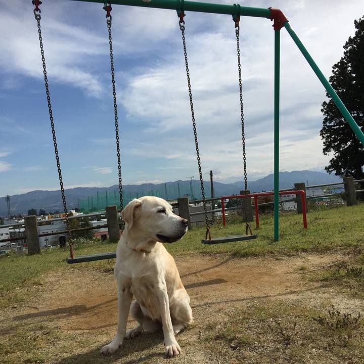 6568b8a9 1a9b 48ea 98f8 b3d8f50342bc 1632075310759