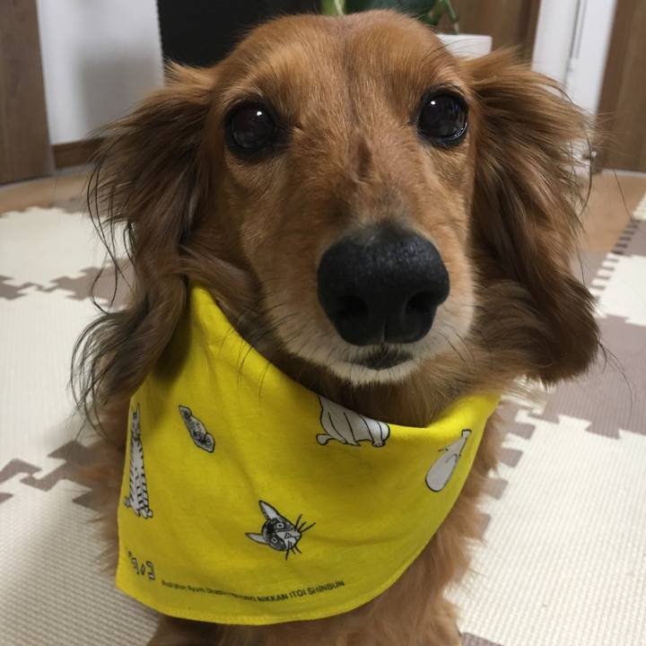 6568c0fb 0b10 4b90 943e 8b784bed7557 1521633498108