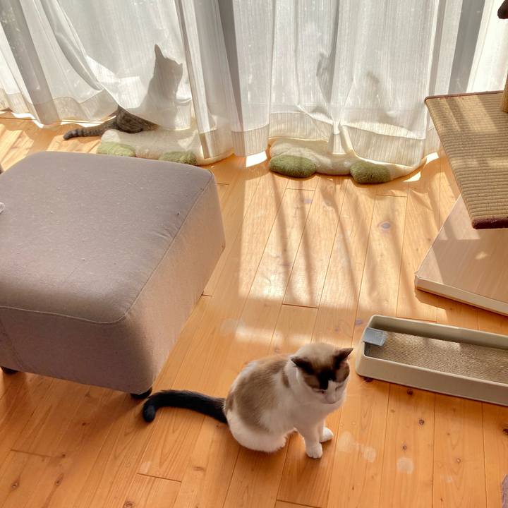 6568db6b 892a 4097 b5b3 c922738daefa 1634537717454