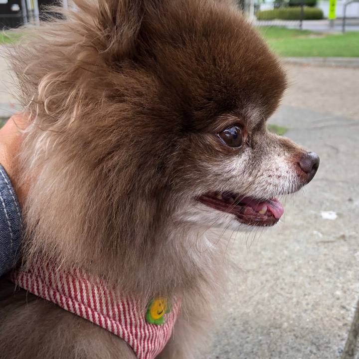 656906cc c7d3 4638 92cf dba8cf56e56d 1633910779306