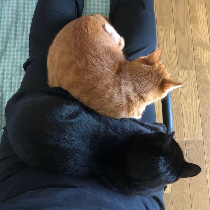 65691ea1 f106 4558 93f5 e5bf615a4592 1728693381449