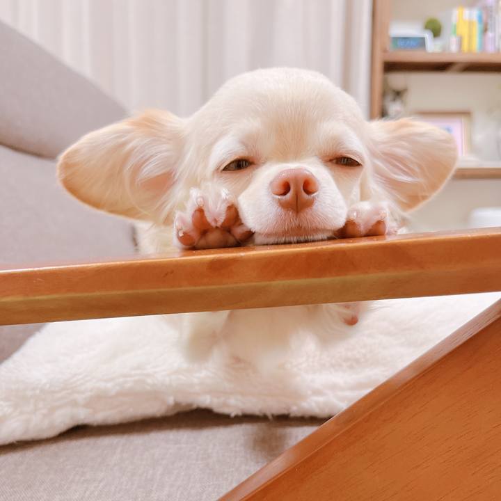 65696e86 53c7 4812 acda d0f40c8362a7 1669876404890