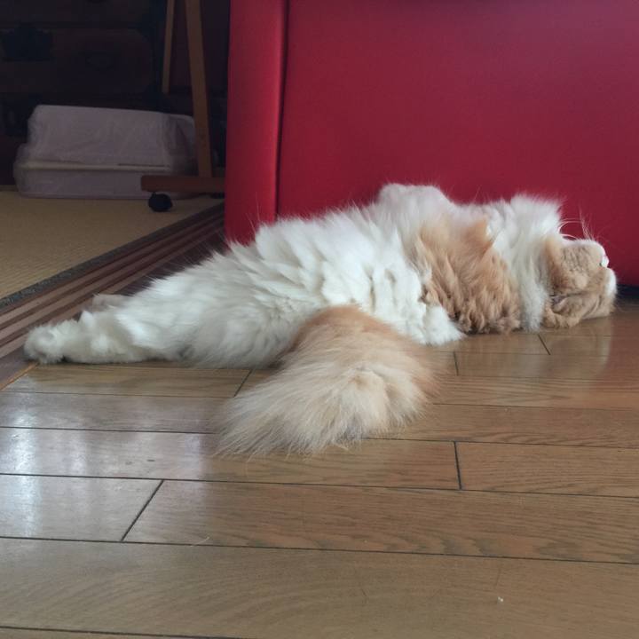 656974bd d73a 4114 85a4 00f1724a3923 1569081198725