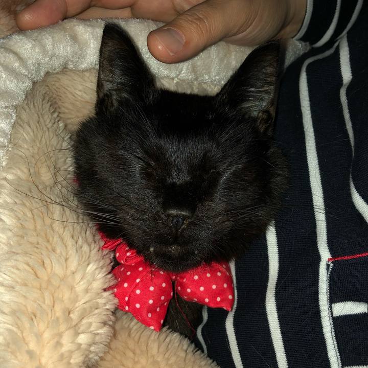 65698ef2 a768 46ab bd68 f80bee08112a 1556739695955