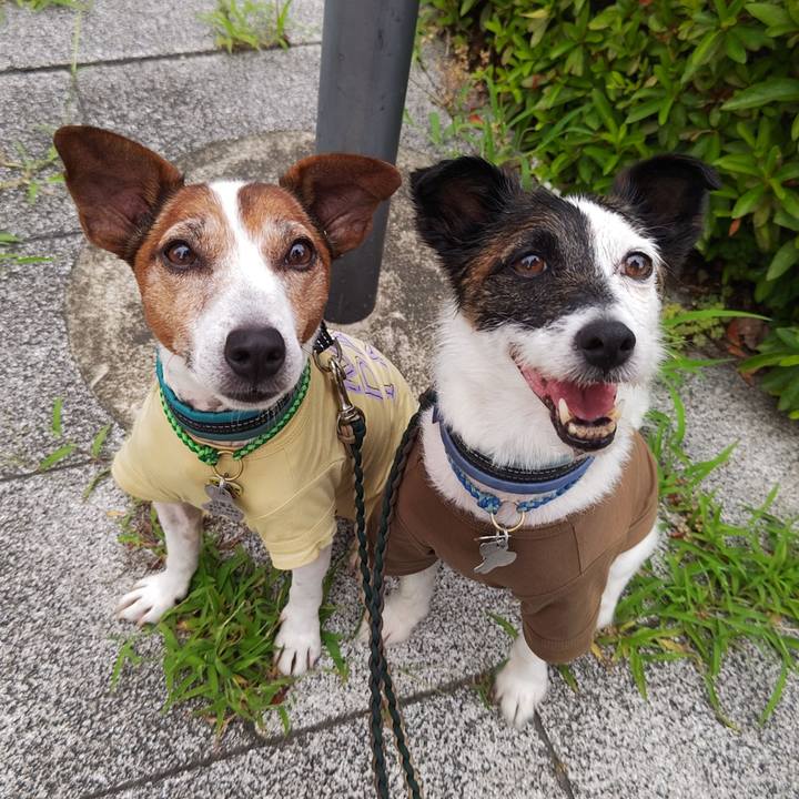 6569f334 b677 4e54 bbf8 0da4f12d689e 1751408968449