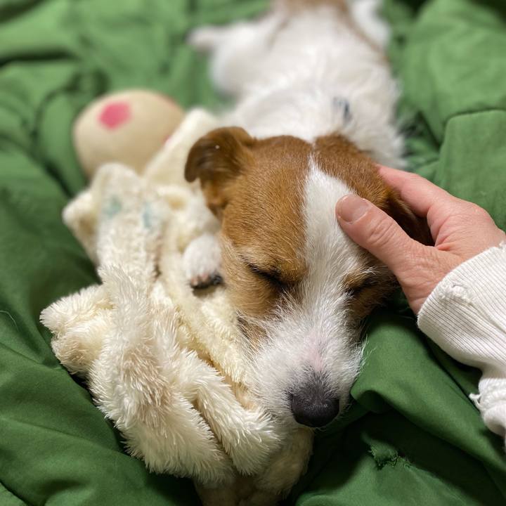 656a0c6c 5ccb 4b6e bee2 023394af30e1 1746024573014