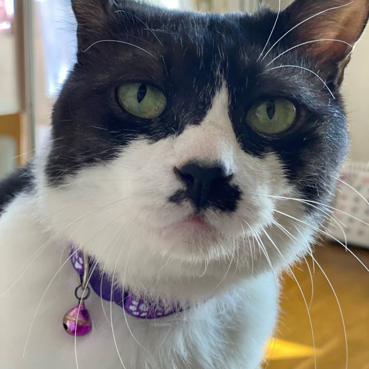 656a0efa 779c 4219 91ec 19b666421ca2 1636861194968