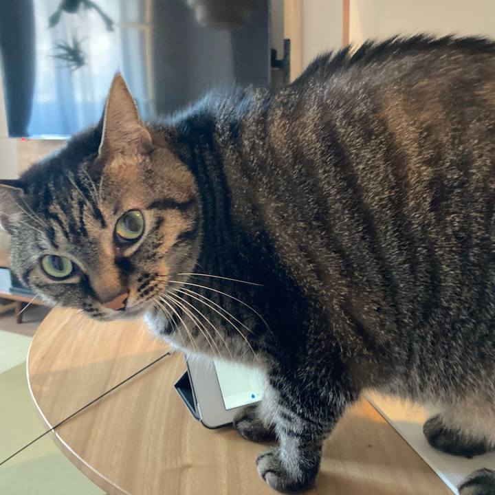 656a3f28 da7e 4bfb b98d 7b2a4df87dbf 1607317141761